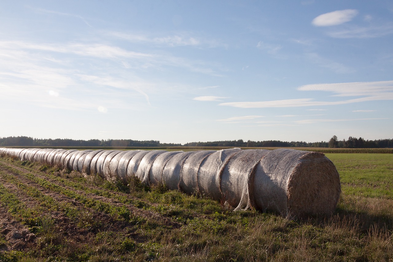 印度對(duì)華五氟乙烷（HFC