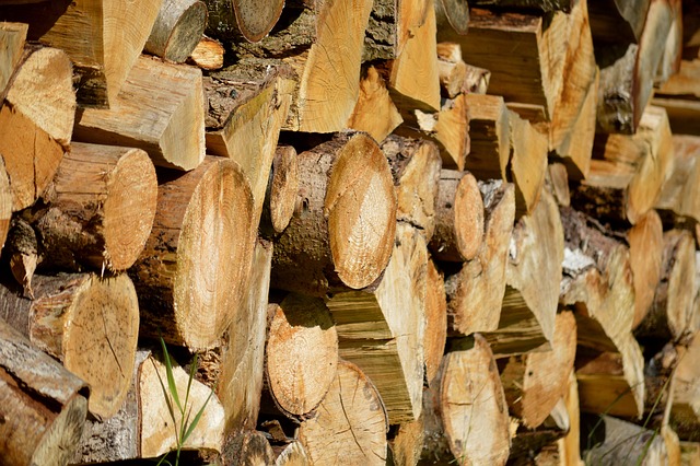 國家金融監督管理總局舉行東盟與中日韓金融監管機構研討會